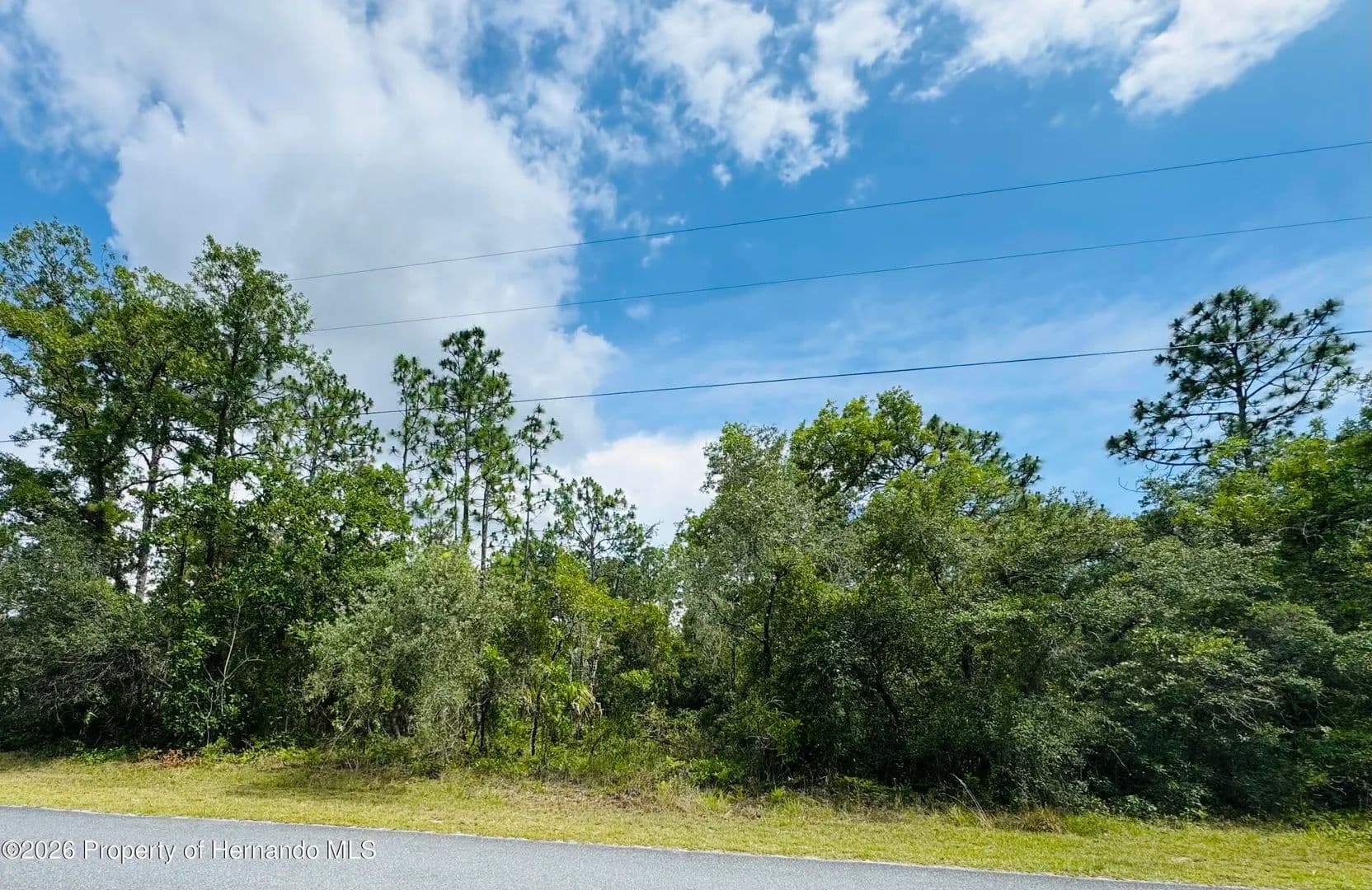 Property from Lot 4 Wood Owl Avenue - KW - Weeki Wachee, Florida, 34614