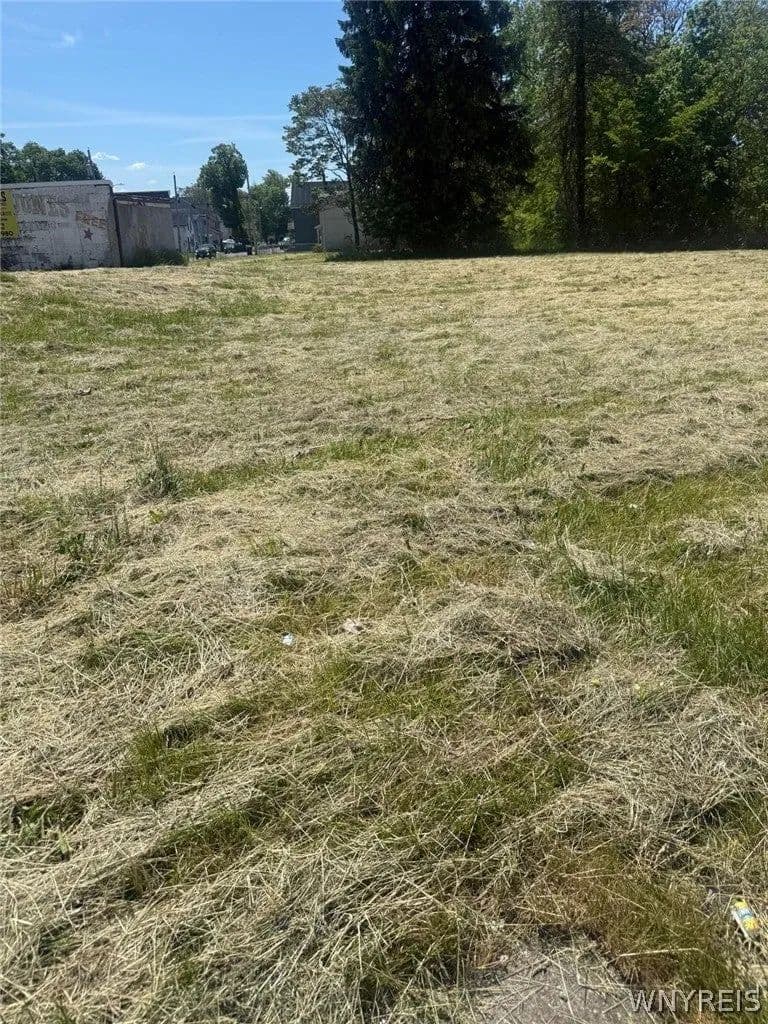 Lots & Land-Other in Buffalo - Buffalo, New York, 14211