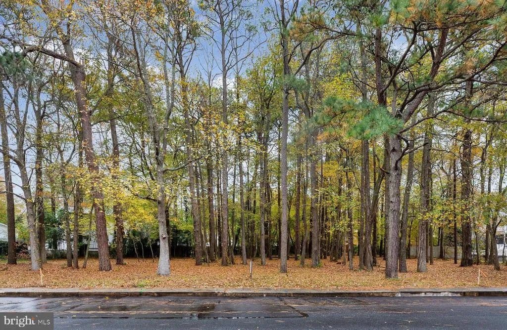 0.24 Acres of Land for Sale in OCEAN CITY, MD - Ocean City, Maryland, 21842