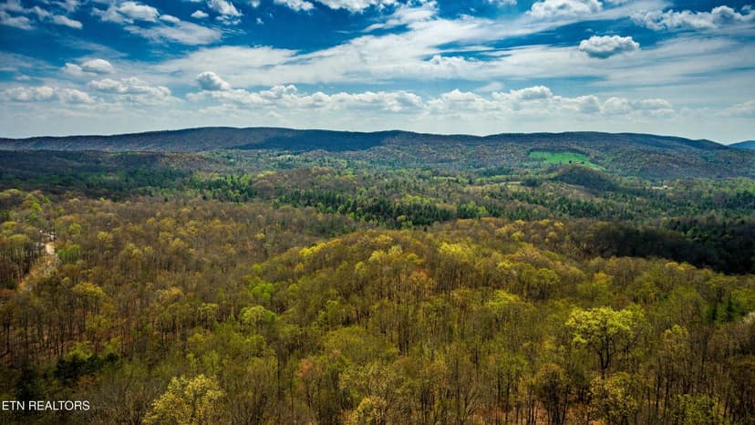 Lots & Land-Other in Harriman