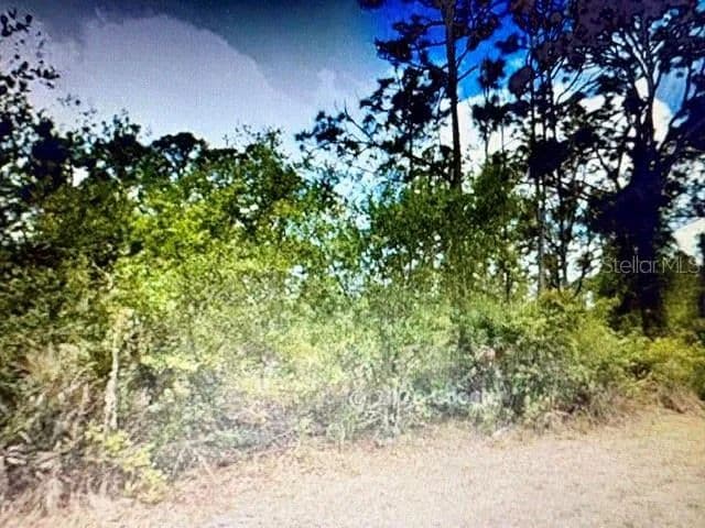 Vacant Land in Port Charlotte - Port Charlotte, Florida, 33953