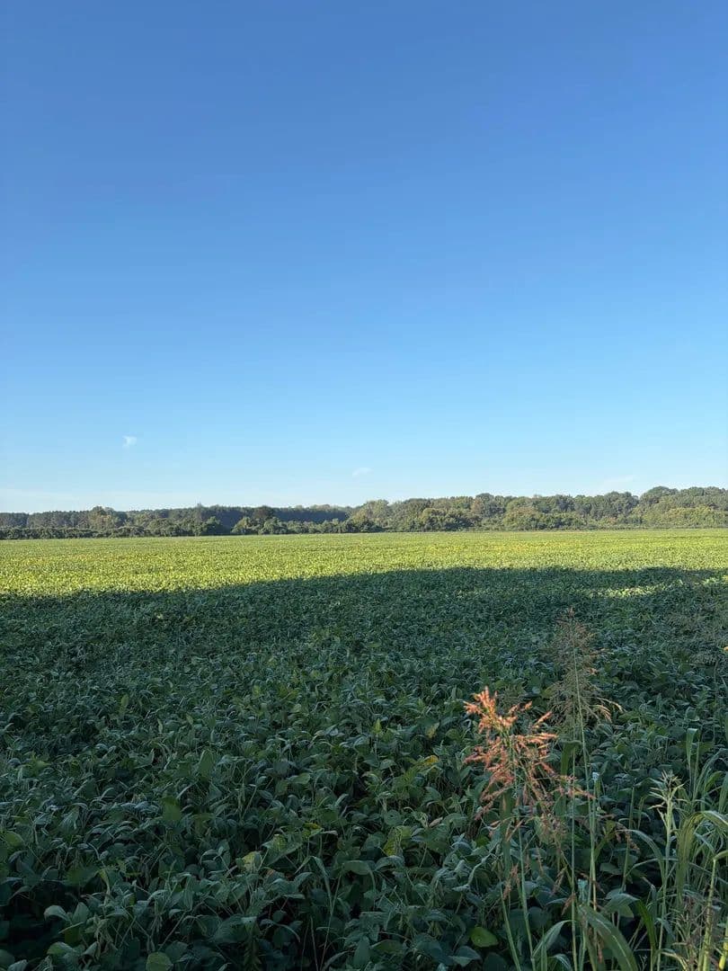 75+/- Acres of tillable ground