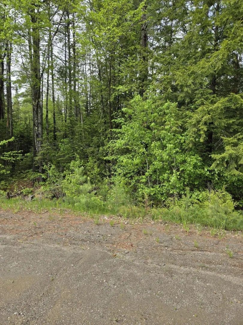 Land -Single Family Acreage in Plymouth - Plymouth, Maine, 04969