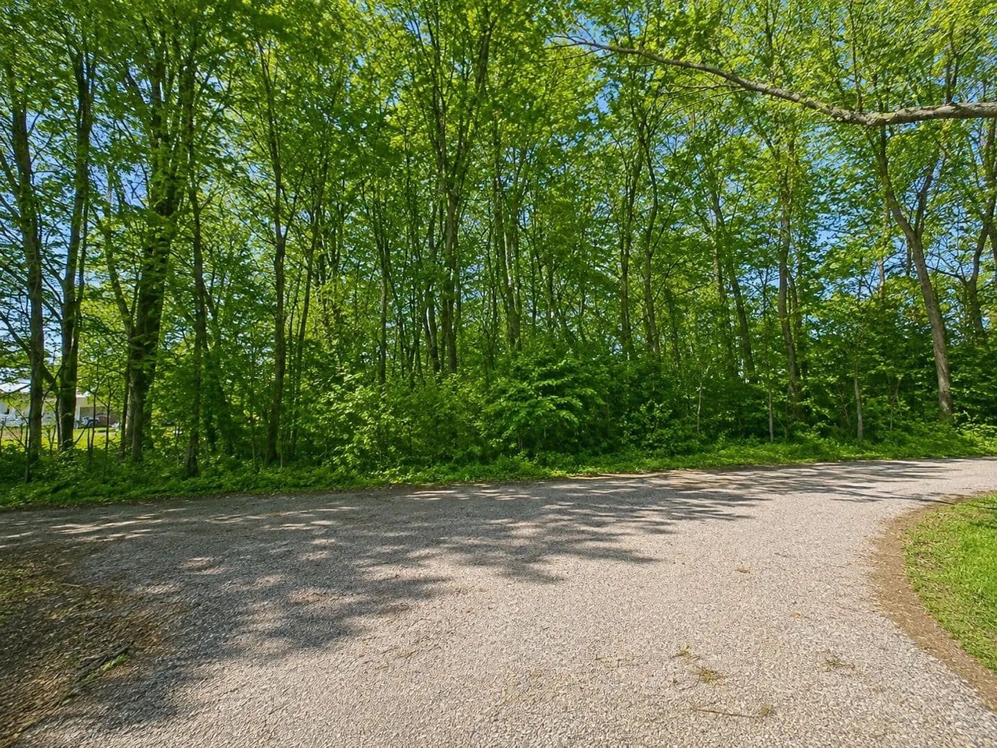 Vacant Land in Clarksville - Clarksville, Tennessee, 37043