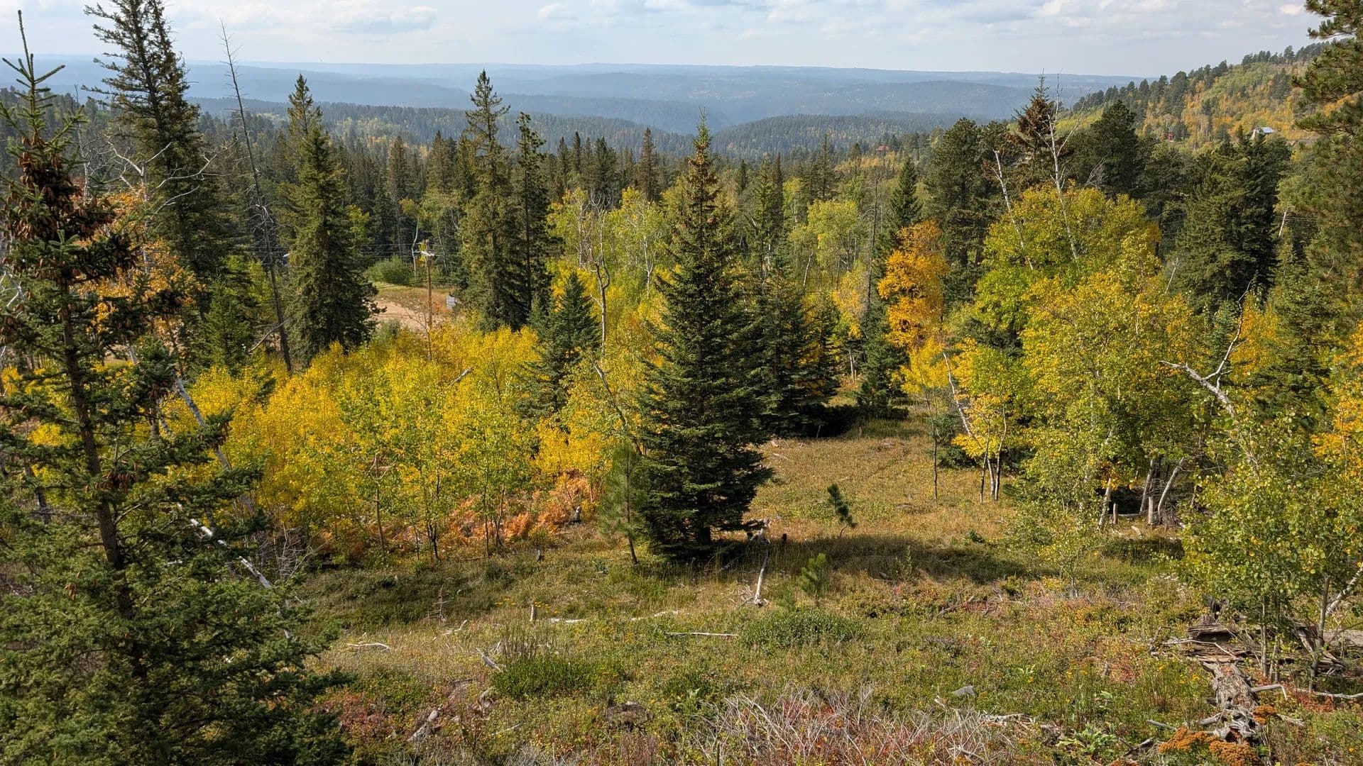 Land -Single Family Acreage in Lead - Lead, South Dakota, 57754