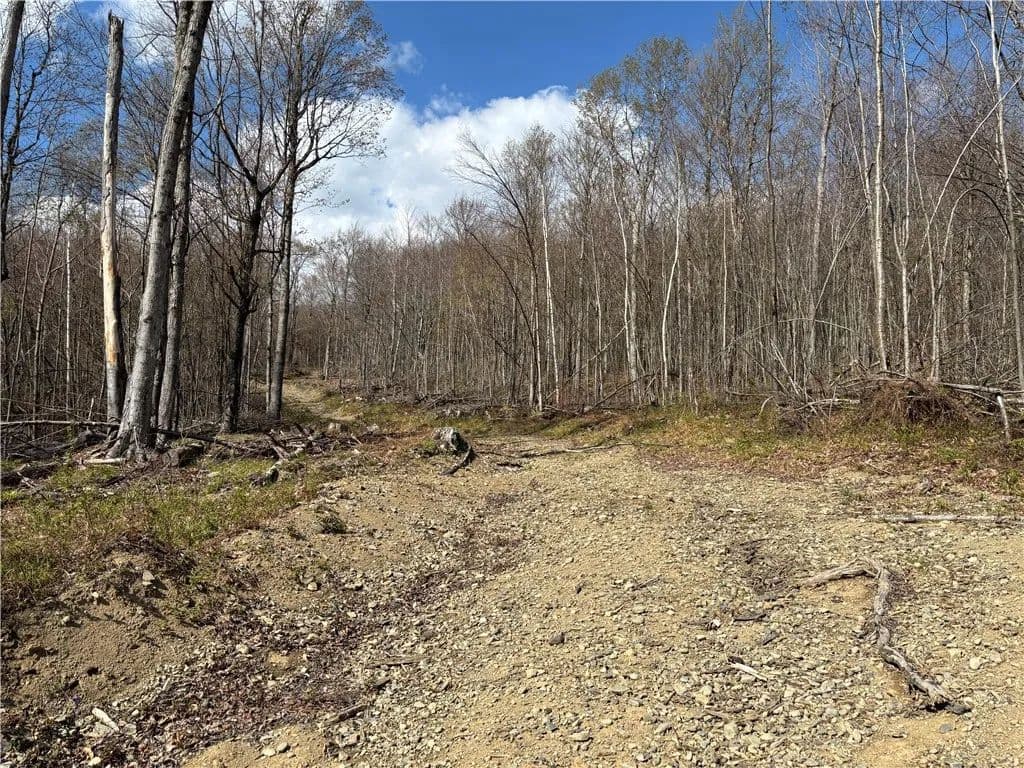 203.87 Acres of Land for Sale in Worcester, NY - Worcester, New York, 12197