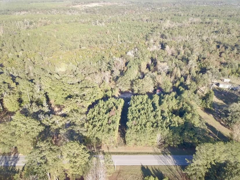 46+/- Acres Little River Hwy 59 Baldwin County