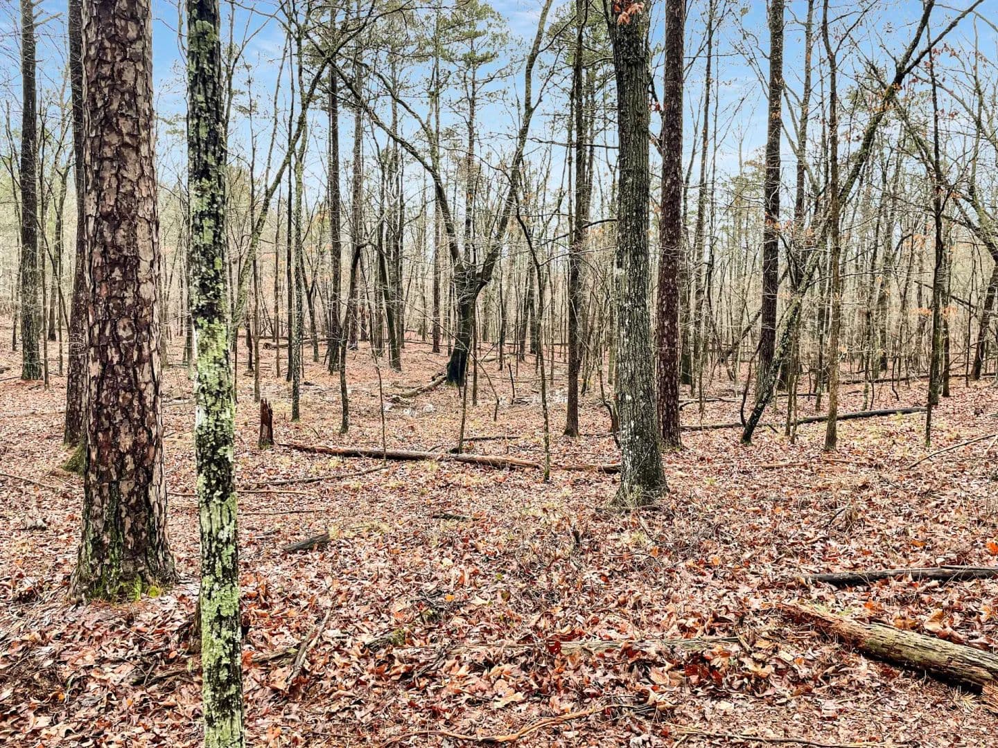 16.86 Acres of Land for Sale in Lindale, GA - Lindale, Georgia, 30147