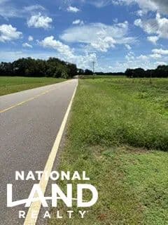 CR 1 South and Hwy 167 N Tract - Clayhatchee, Alabama, 36322