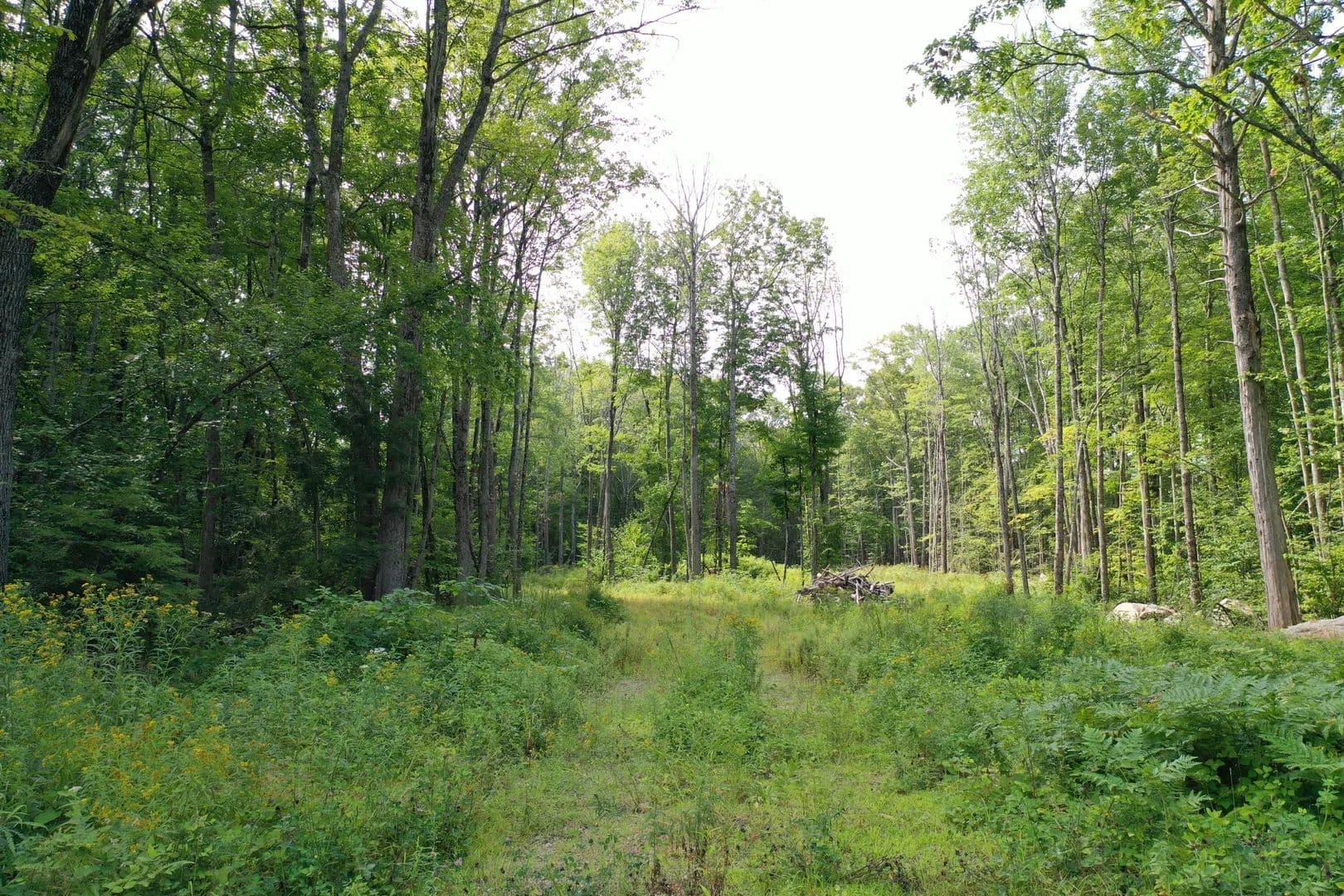 4.5 Acres of Land for Sale in Shapleigh, ME - Shapleigh, Maine, 04076
