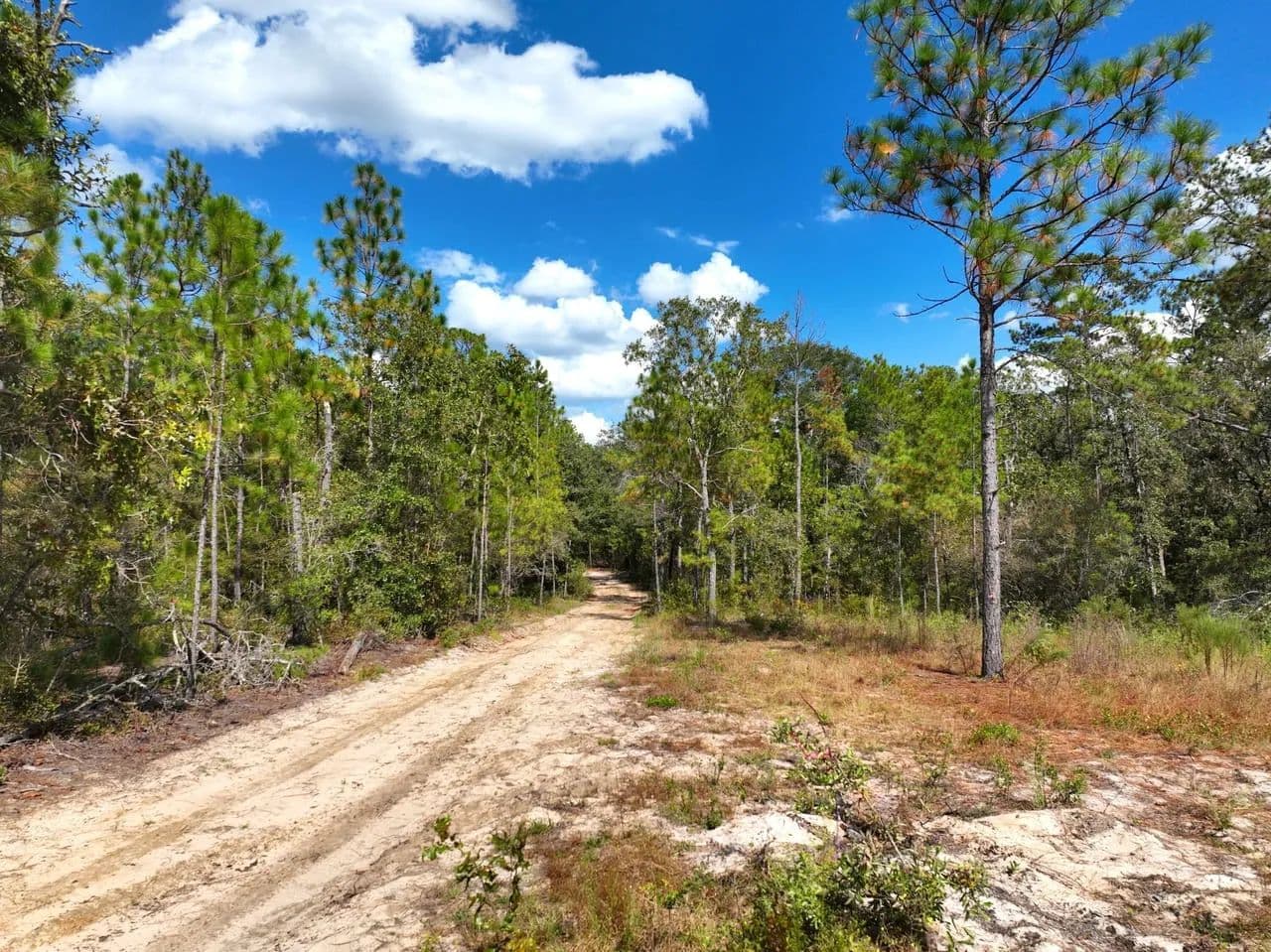 23.04 AC LAND FOR SALE TELFAIR COUNTY - Lumber City, Georgia, 31549