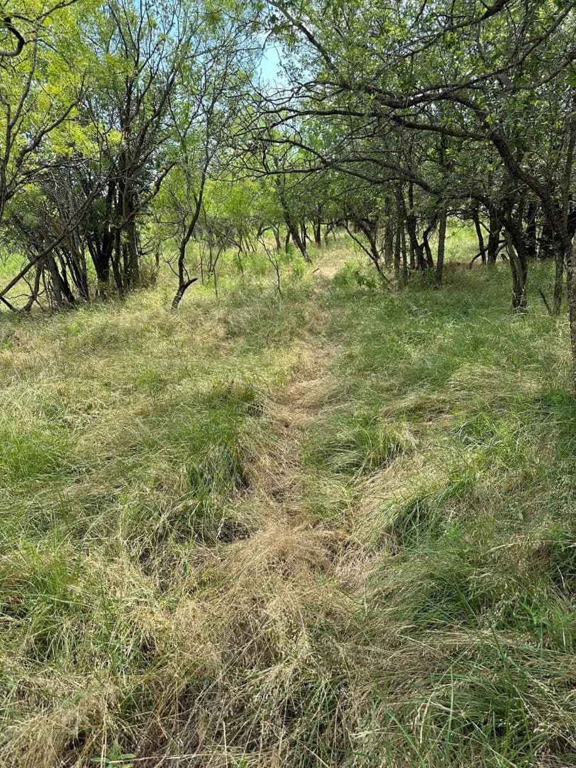 New Listing!! 11+/-Ac (N part of Tr 19), Shackelford County