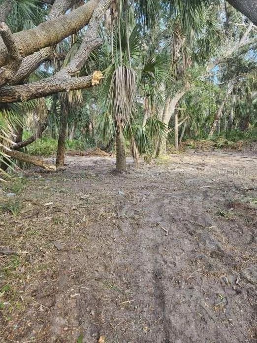 Vacant Land in Port Charlotte - Port Charlotte, Florida, 33952