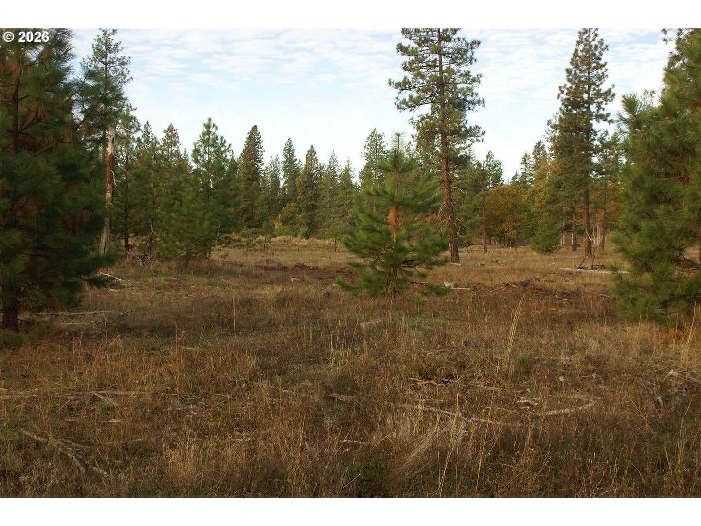 40 Acres of Land for Sale in Goldendale, WA - Goldendale, Washington, 98620