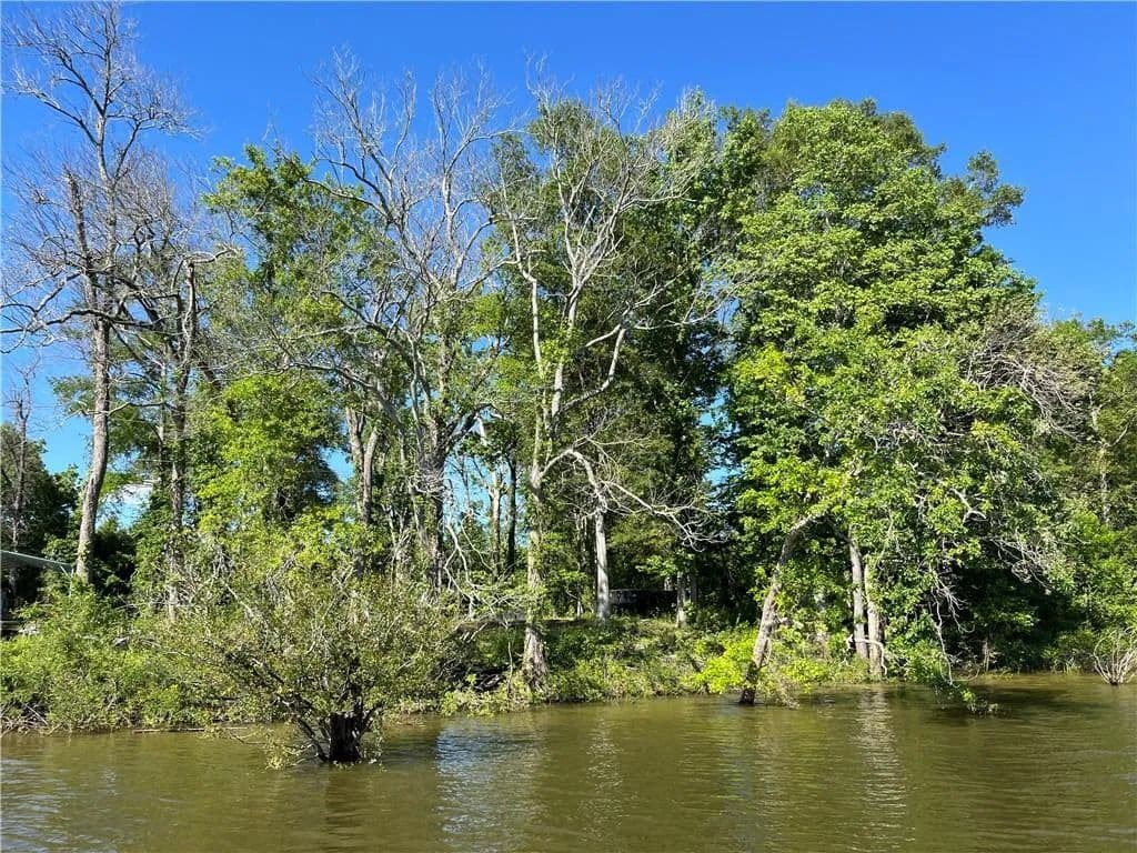 Lots & Land-Other in Jonesville - Jonesville, Louisiana, 71343