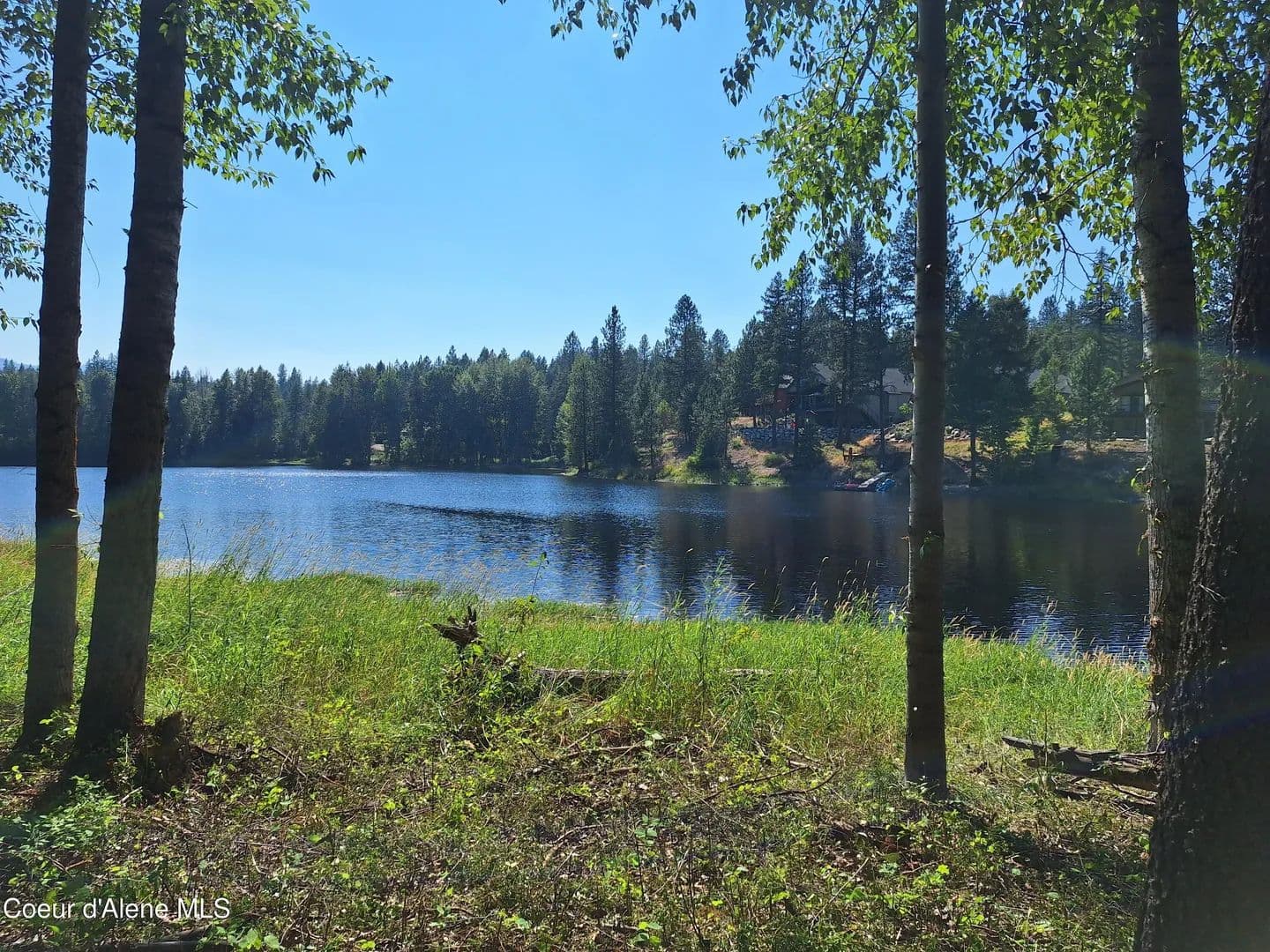Vacant Land in Blanchard - Blanchard, Idaho, 83804