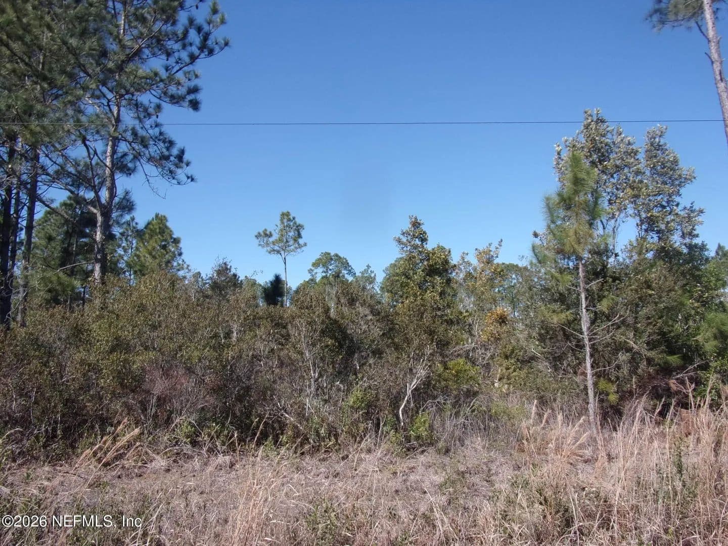 Lots & Land-Other in Palatka - Palatka, Florida, 32177