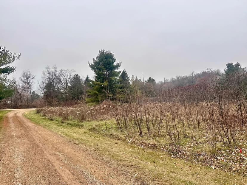 Vacant Land in Clifton Twp