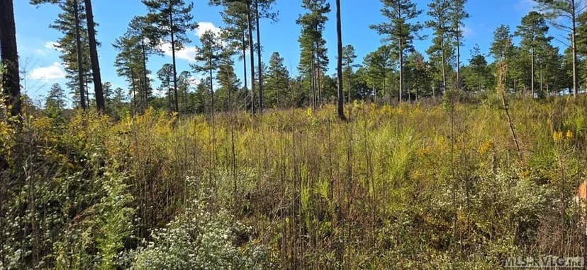 Vacant Land in Lawrenceville