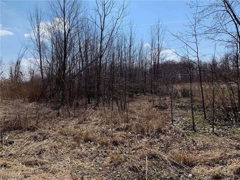 Lots & Land-Other in Lorain