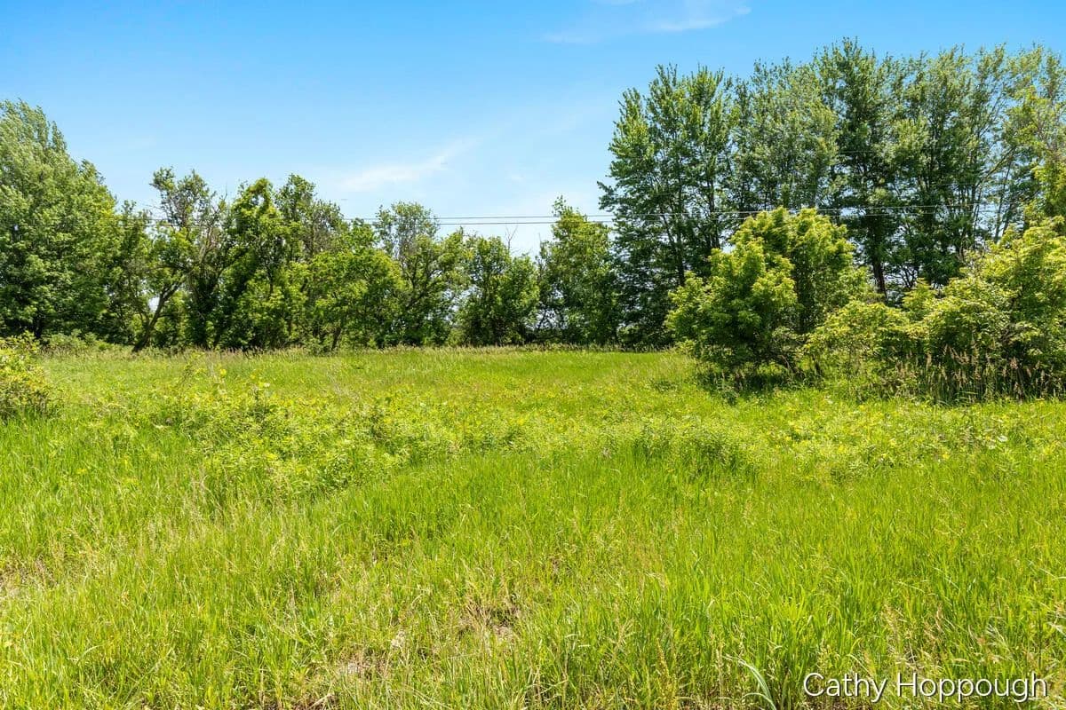 20 Acres of Land for Sale in Portland, MI - Portland, Michigan, 48875