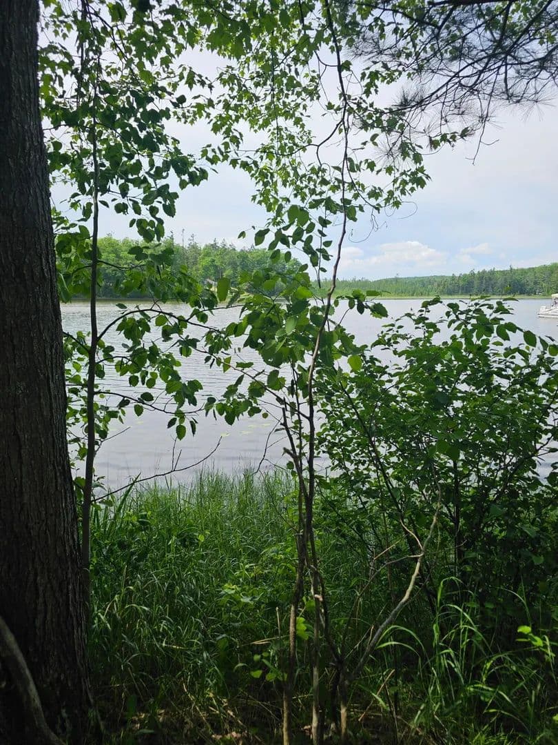 0.17 Acres of Land for Sale in Mio, Michigan - Mio, Michigan, 48647