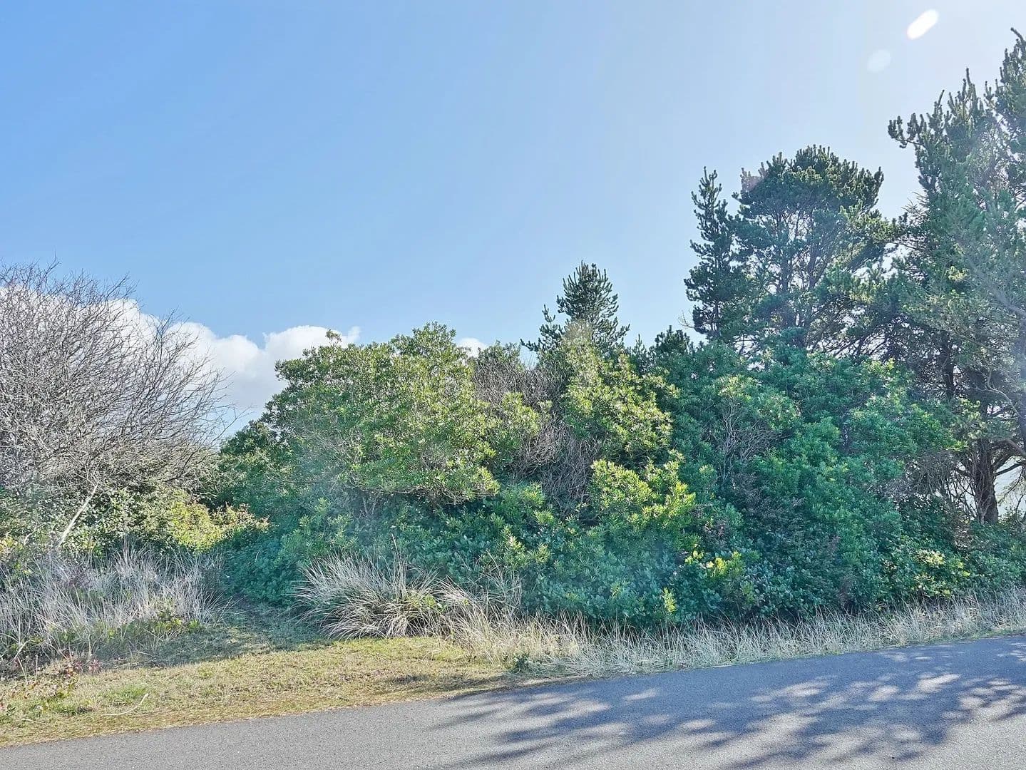 Vacant Land in Ocean Shores - Ocean Shores, Washington, 98569