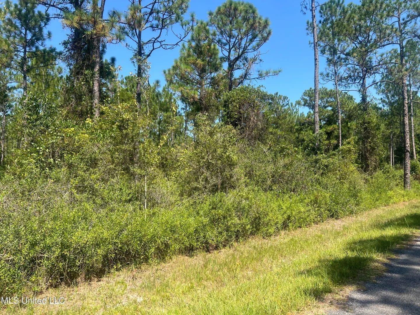 Vacant Land in Long Beach - Long Beach, Mississippi, 39560