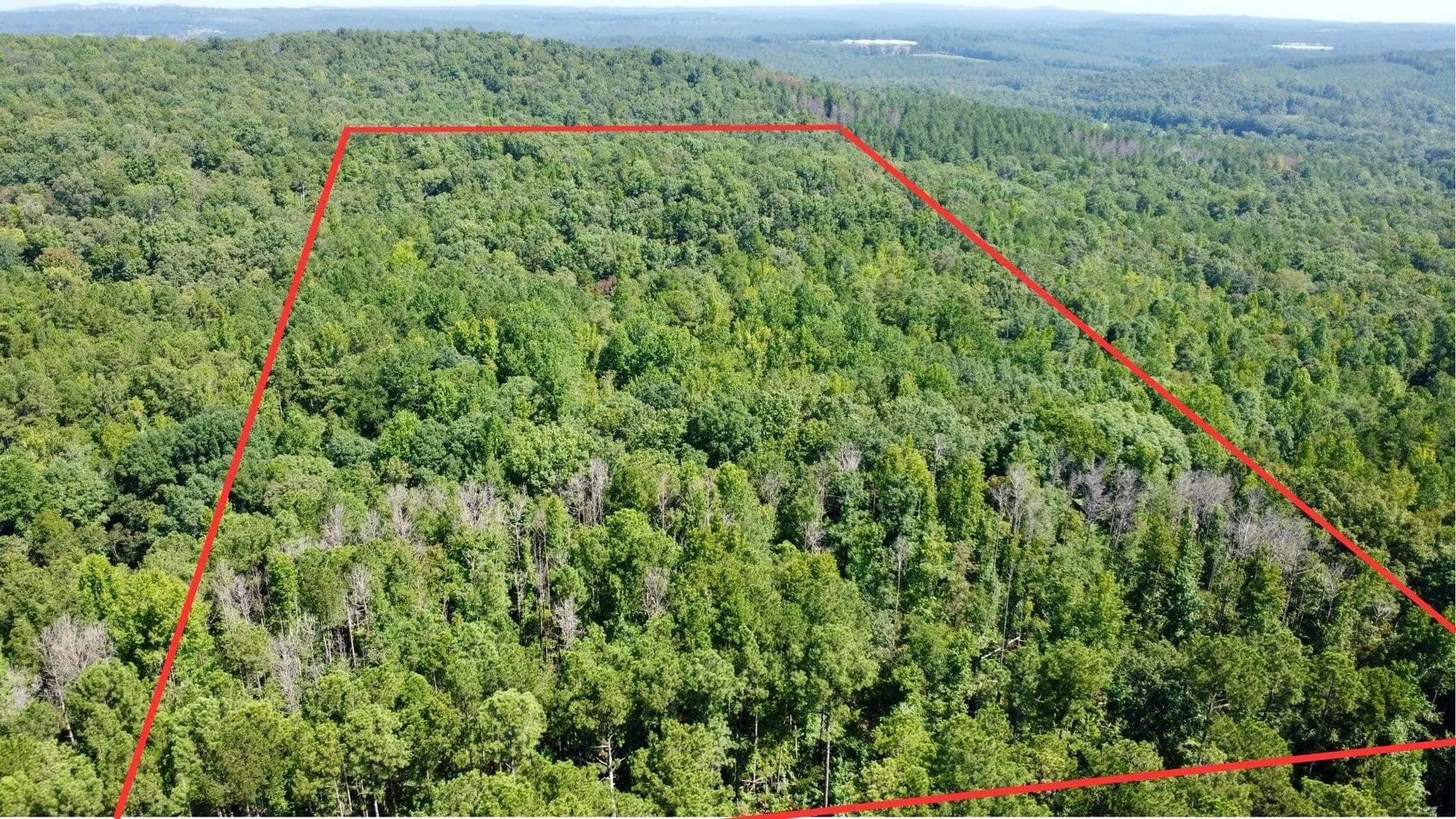 17 +/- Acres in Randolph County, AL - Wedowee, Alabama, 36278