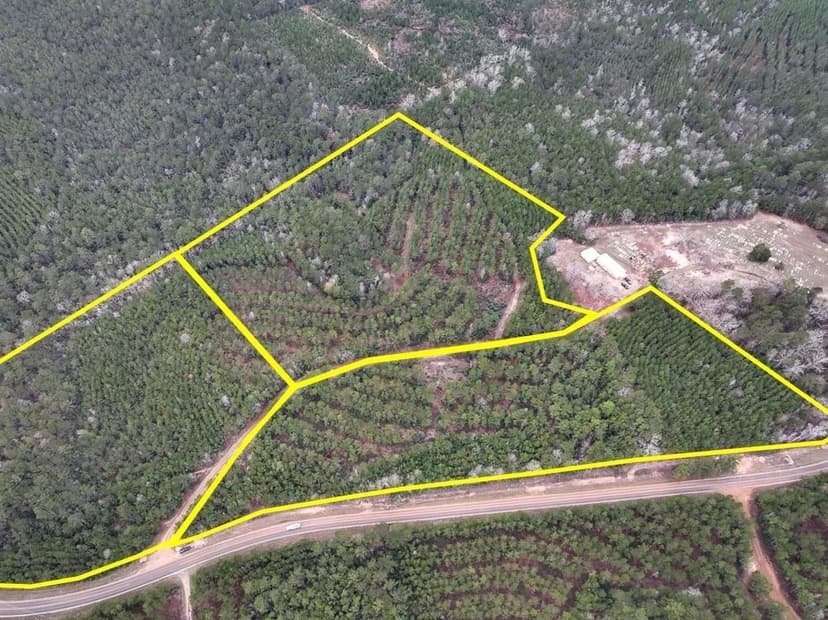 11 Acres | T-3 | County Road 1019 & FM 1012 | 0911