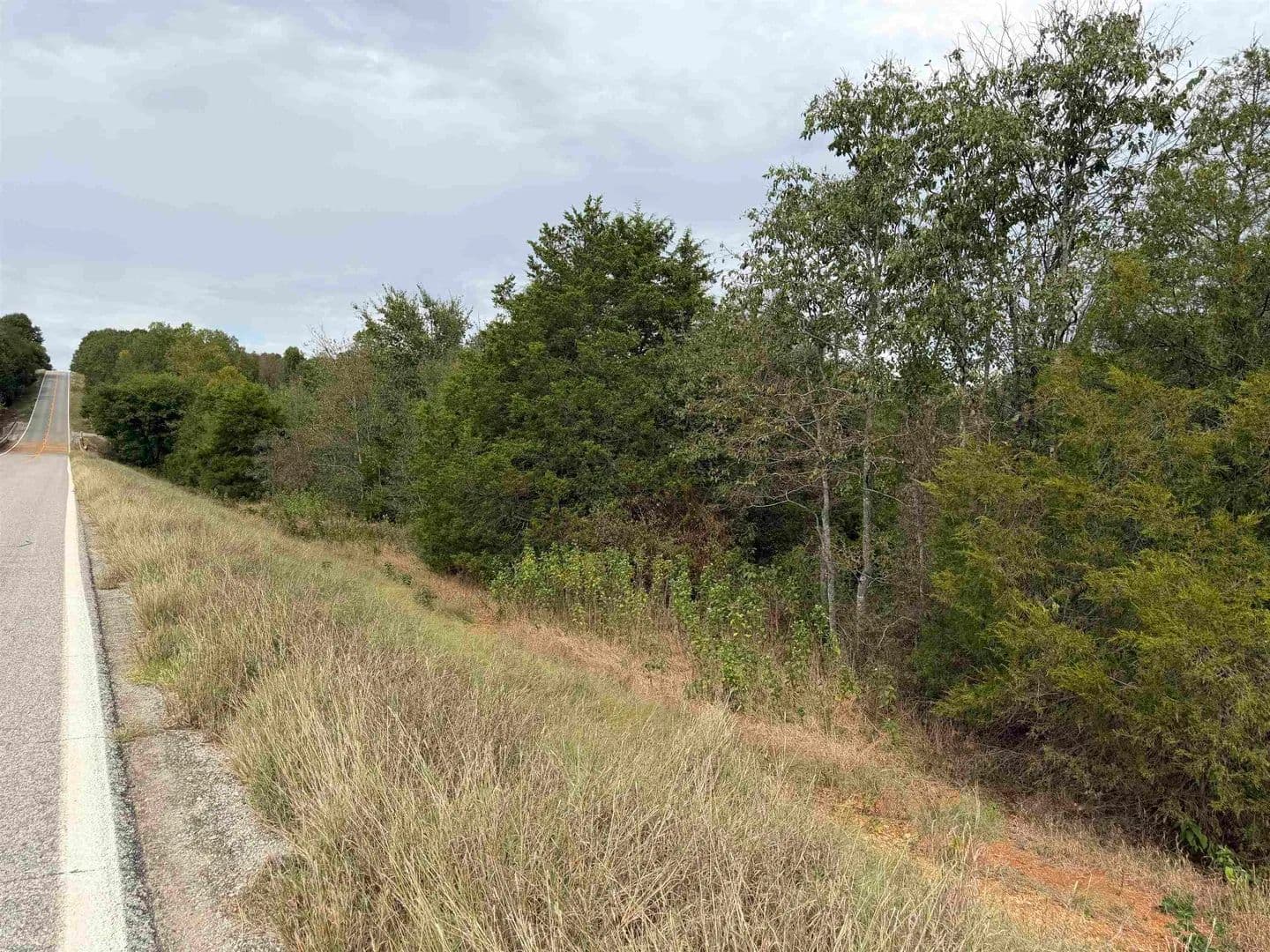 Vacant Land in Ash Flat - Ash Flat, Arkansas, 72513