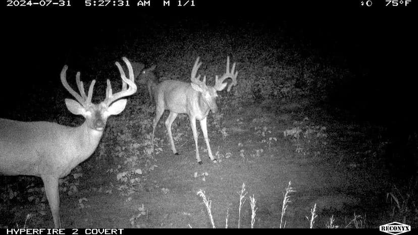 Income-Producing Farm w/New Barn, Prime Hunting, & Potential Build Sites – Johnson County