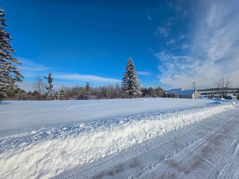 Vacant Land in Cheboygan