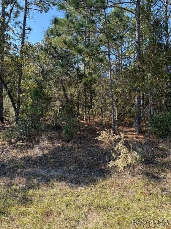 Lots & Land-Other in Citrus Springs - Citrus Springs, Florida, 34433