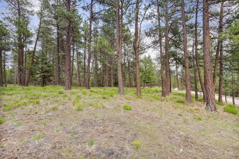 Property from NHN Lot A + B Bourne Loop - KW