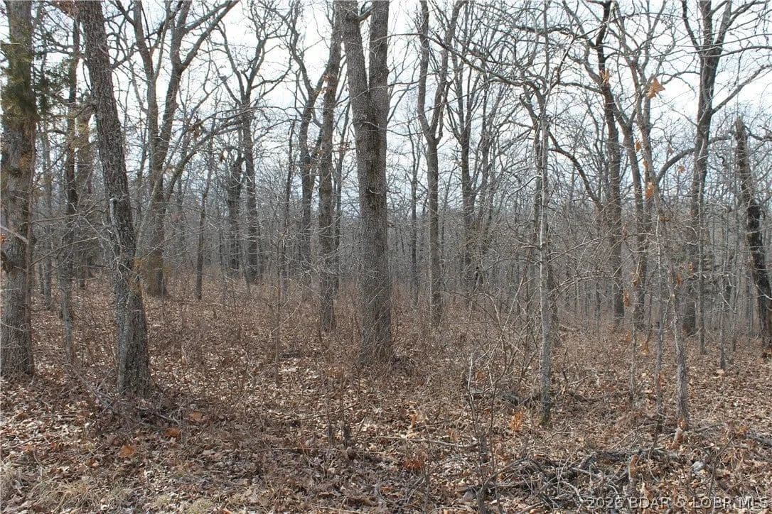 Lots & Land-Other in Edwards - Edwards, Missouri, 65326