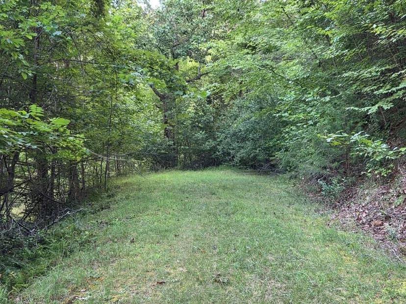 Property from Lot 28 Brookstone Mtn. Trail - KW