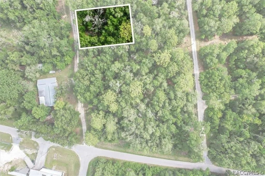 Lots & Land-Other in Inverness - Inverness, Florida, 34453