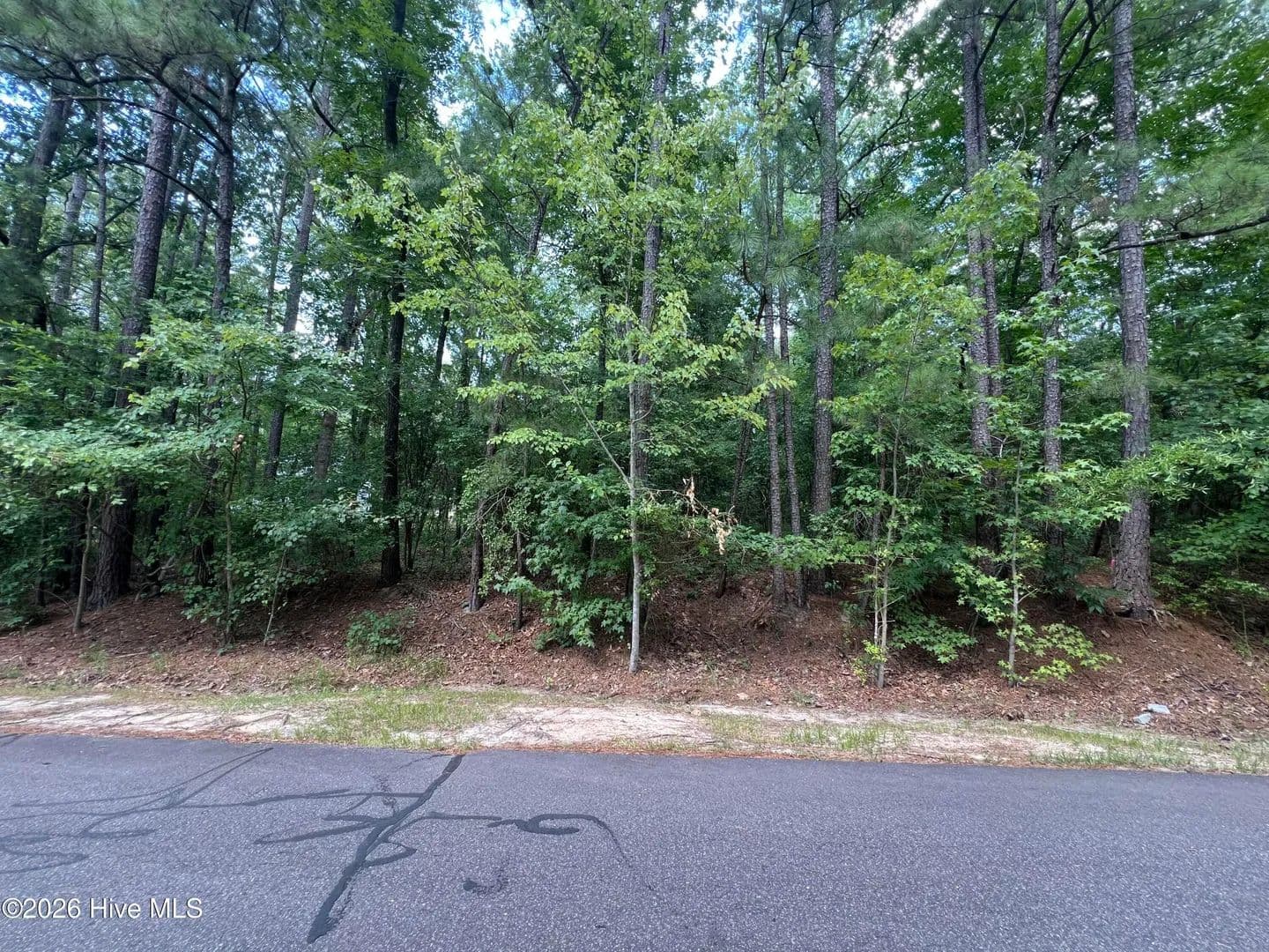 Property from 307 Thimbleberry Drive - KW - Vass, North Carolina, 28394