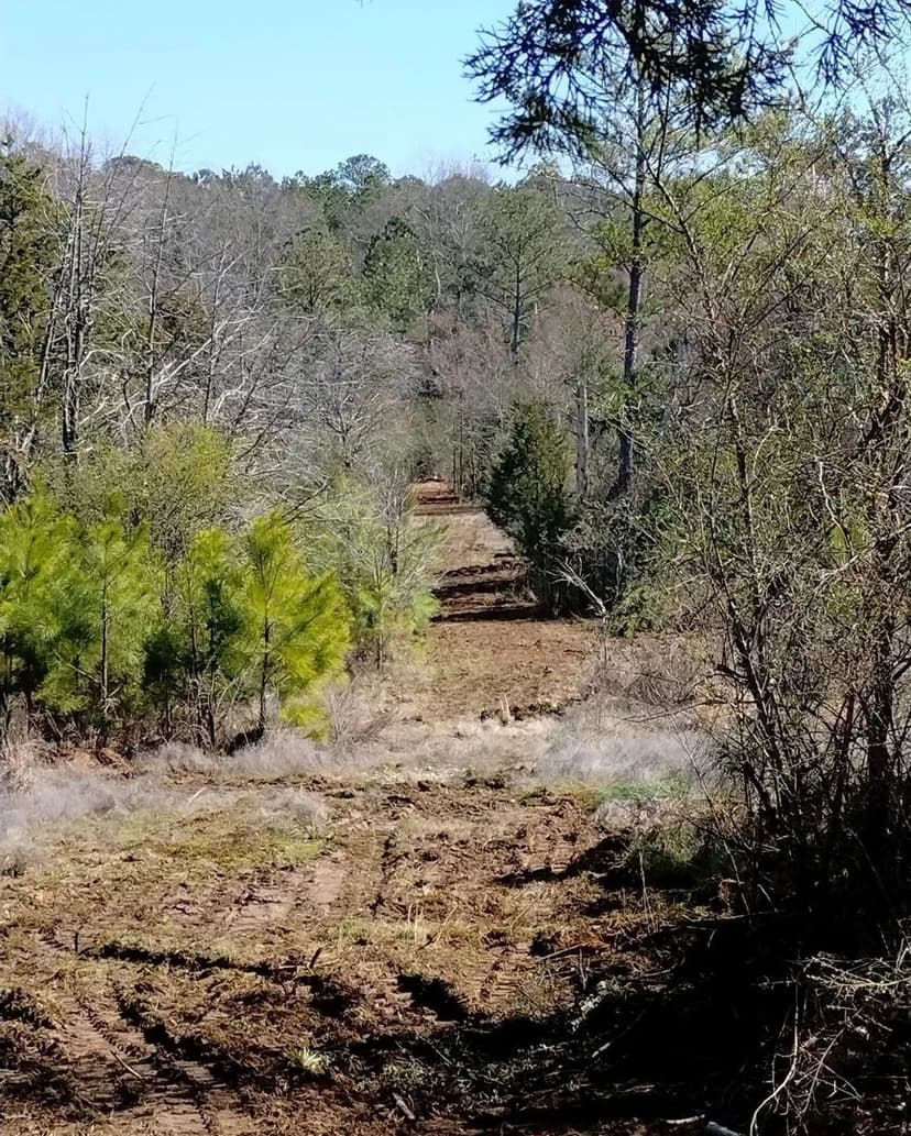 Land -Single Family Acreage in Conyers