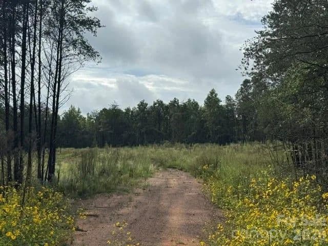 Lots & Land-Other in Lawndale - Lawndale, North Carolina, 28090