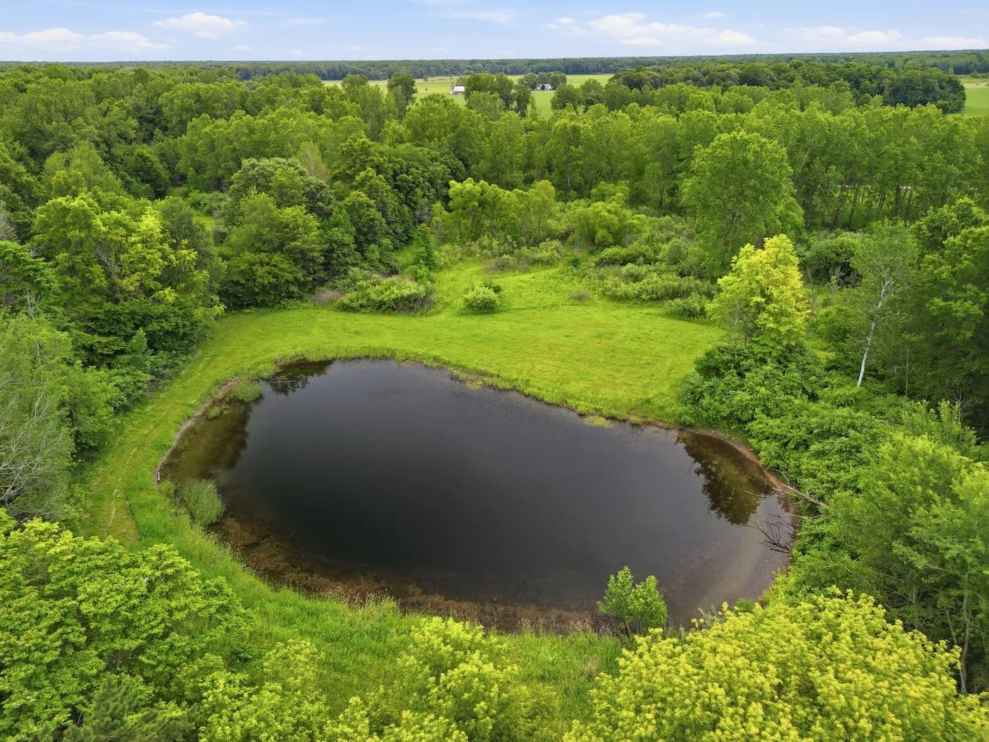 Gratiot County – 80 Acres - Ashley, Michigan, 48806