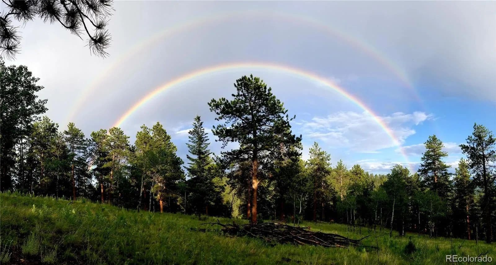 21.69 Acres of Land for Sale in Pine, CO - Pine, Colorado, 80470