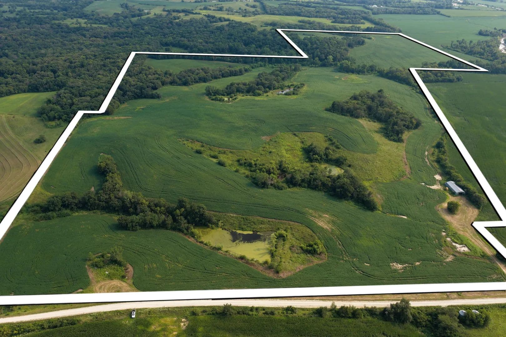 Ringgold County IA Land for Sale | Tract 7: 152.52± Tillable - Redding, Iowa, 50860