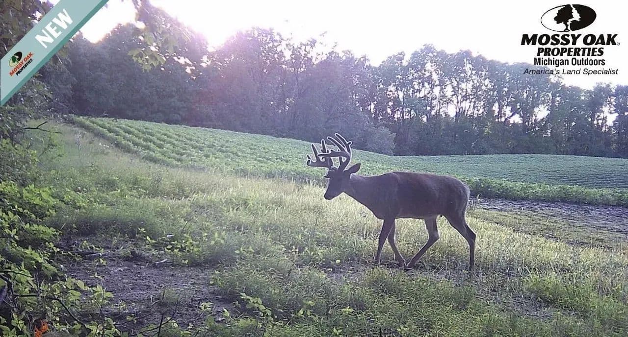 77 Acres of Prime Tillable Ground & Trophy Whitetail Hunting - Marcellus, Michigan, 49067