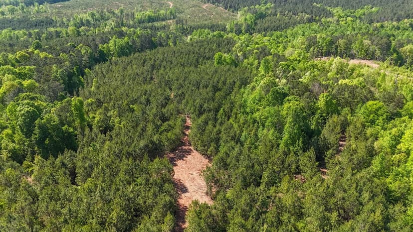 26 ± Acres in Tallapoosa Co – Homesite & Flowing Creek on Hwy 22