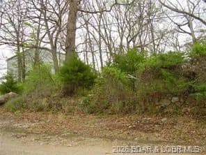 Lots & Land-Other in Osage Beach - Osage Beach, Missouri, 65065
