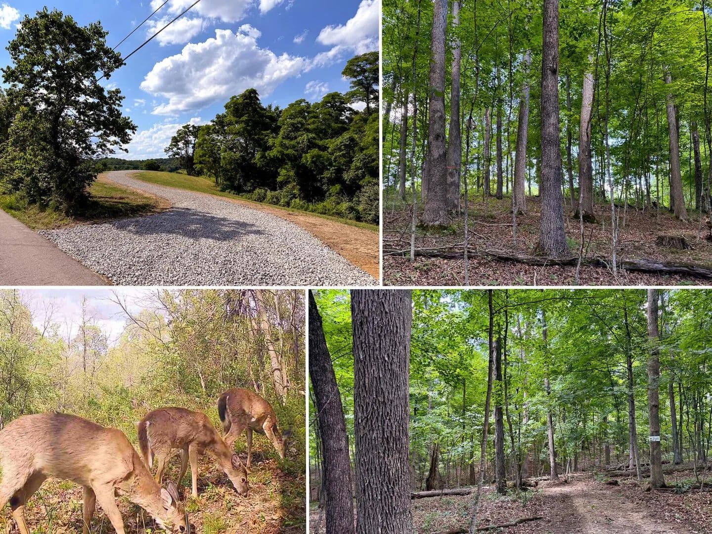5.82 Acres of Land for Sale in Jackson, OH - Jackson, Ohio, 45640