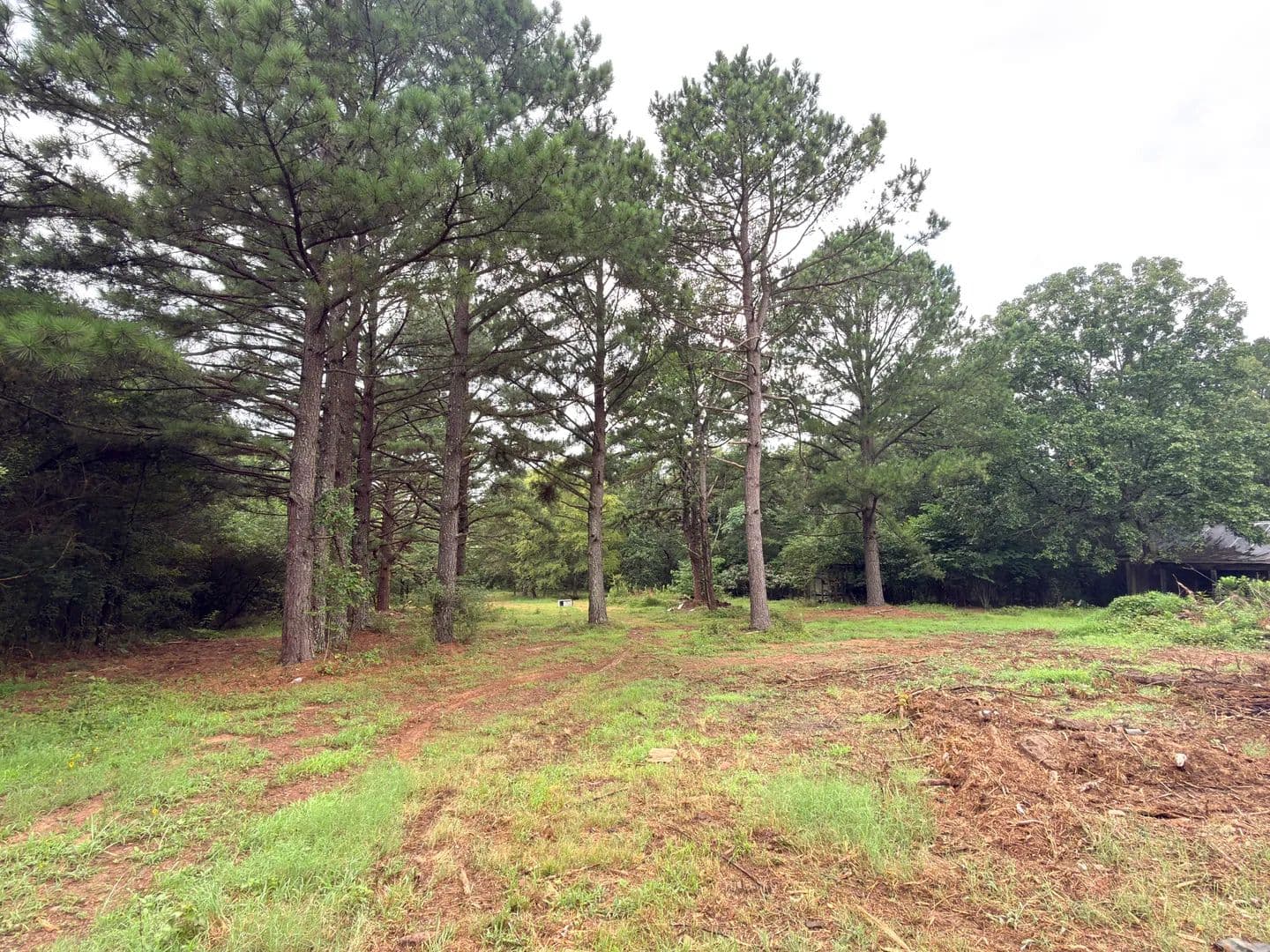 Land -Agricultural (Not Zoned) in Lamar, AR 72846 - Arkansas, 72846