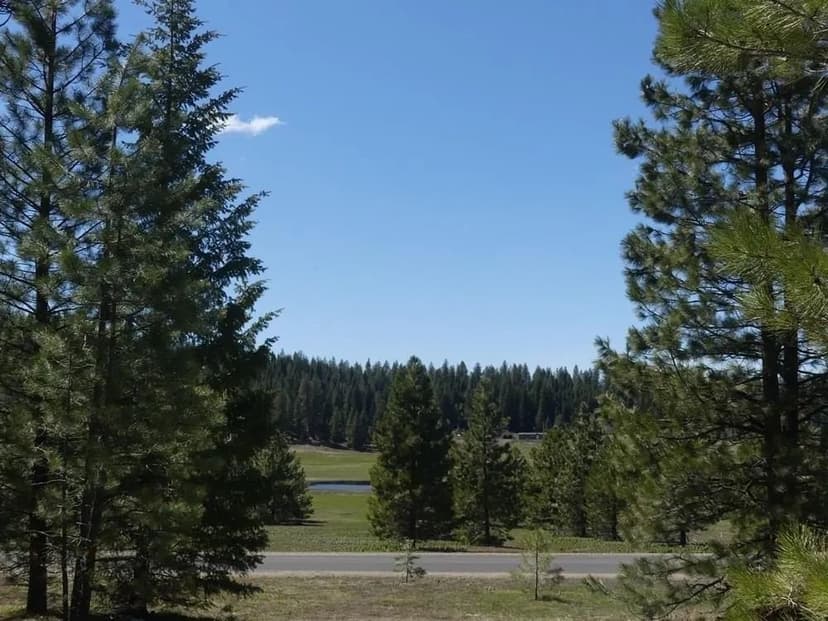 Lots & Land-Other in McCall